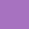 Dark Violet/Purple Palm